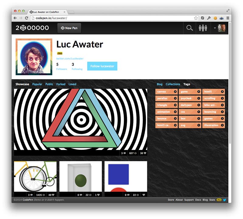 Custom Profiles - CodePen Blog image.