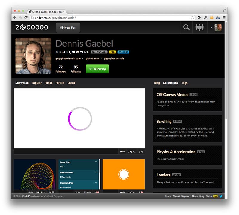 Custom Profiles - CodePen Blog