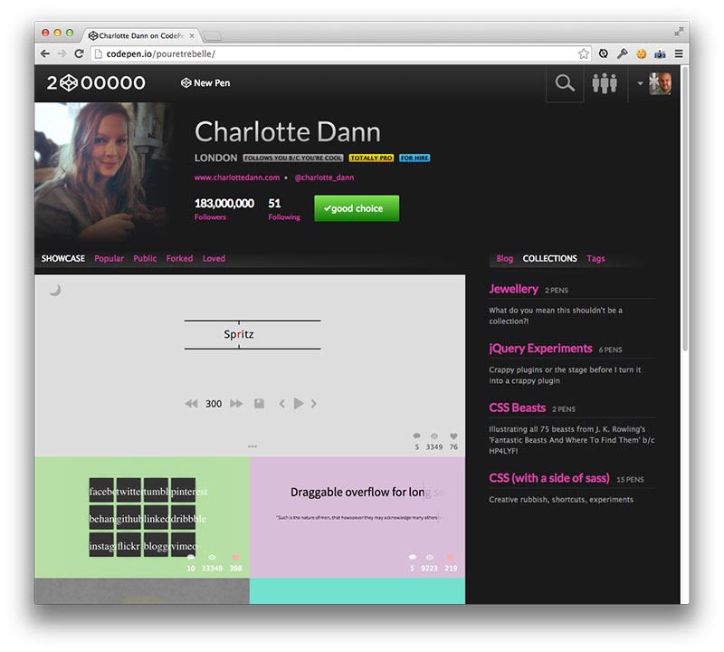Custom Profiles - CodePen Blog