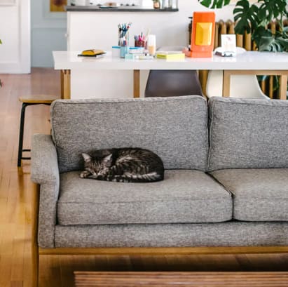 The Evolution of the Modern Living Room