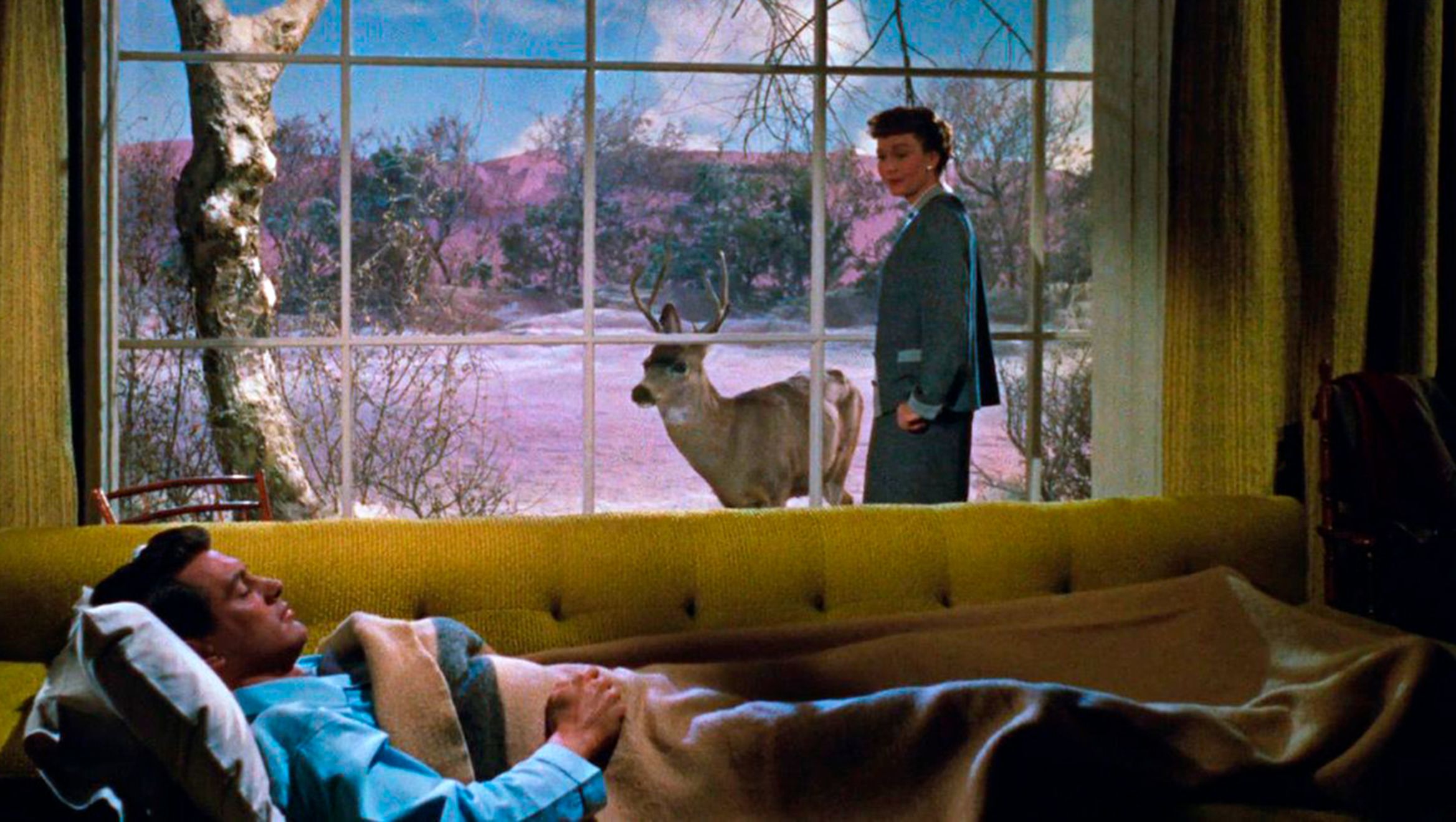 La Cinematheque De Toulouse