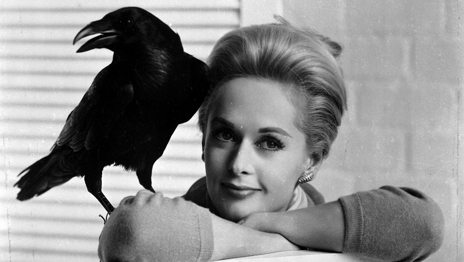 Les Oiseaux (The Birds)