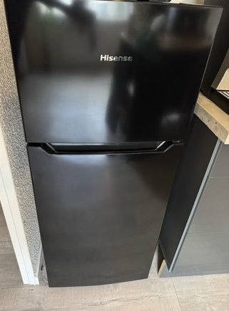 Frigo hicense — 4/4