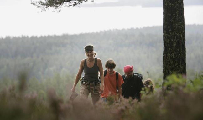 billede til Vidunderlig vandring i Värmland
