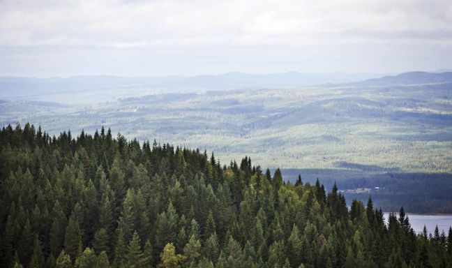 billede til Destination Värmland