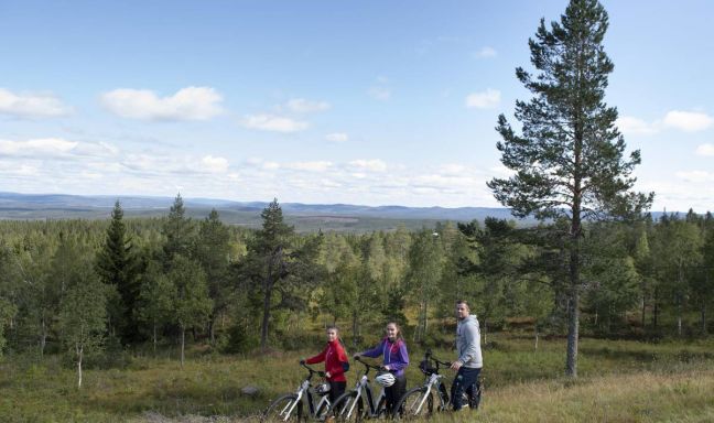 billede til Cykeleventyr i Värmland