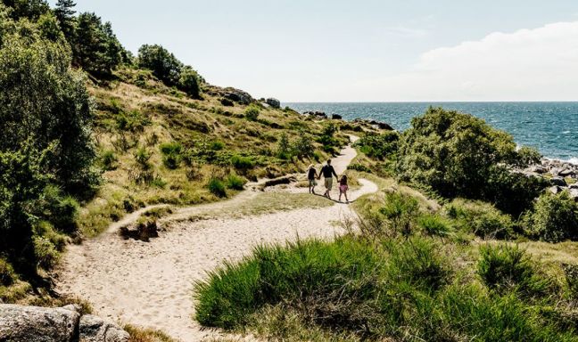 billede til Hold Scandication i Danmark