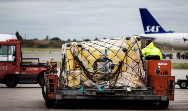 billede til Da Hammershøi fløj hjem med SAS