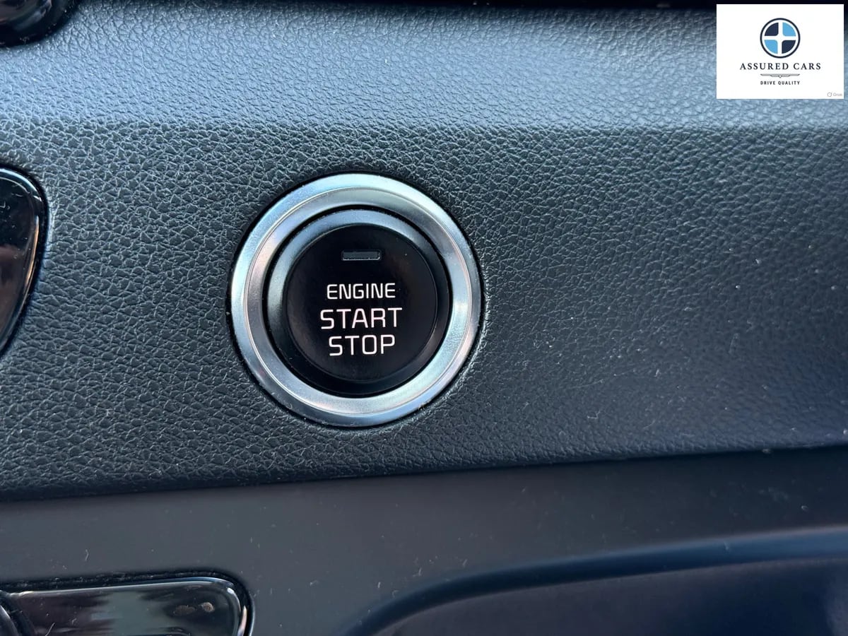 Car View 39