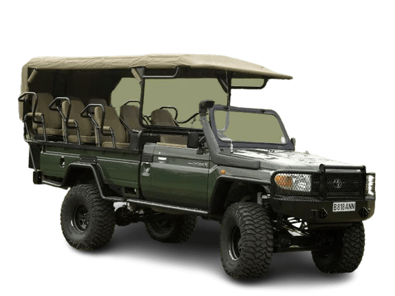 Safari Jeep