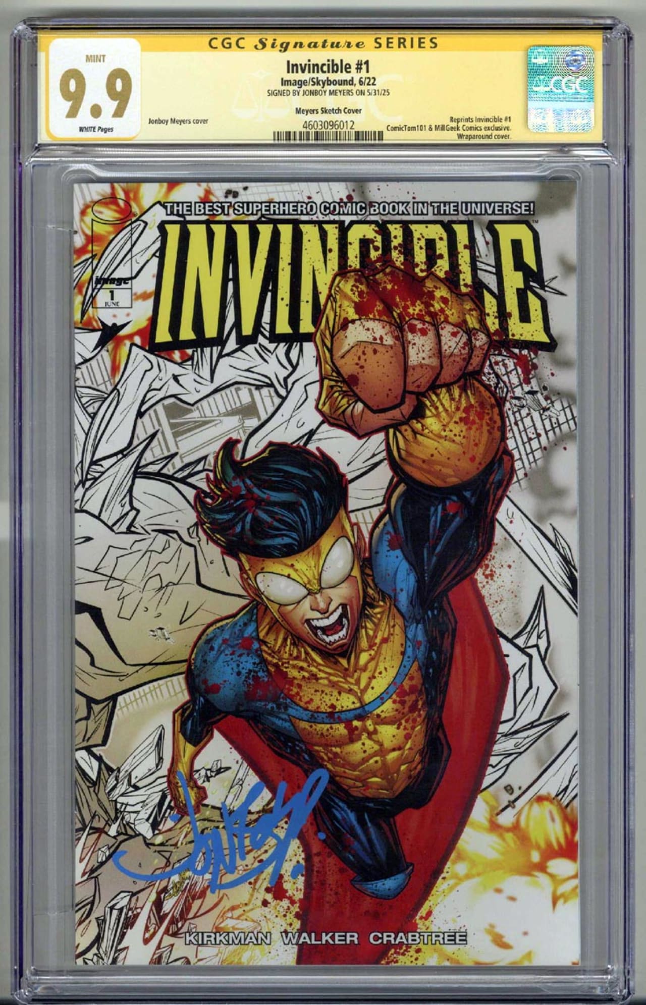 Image for Search for 'invincible'