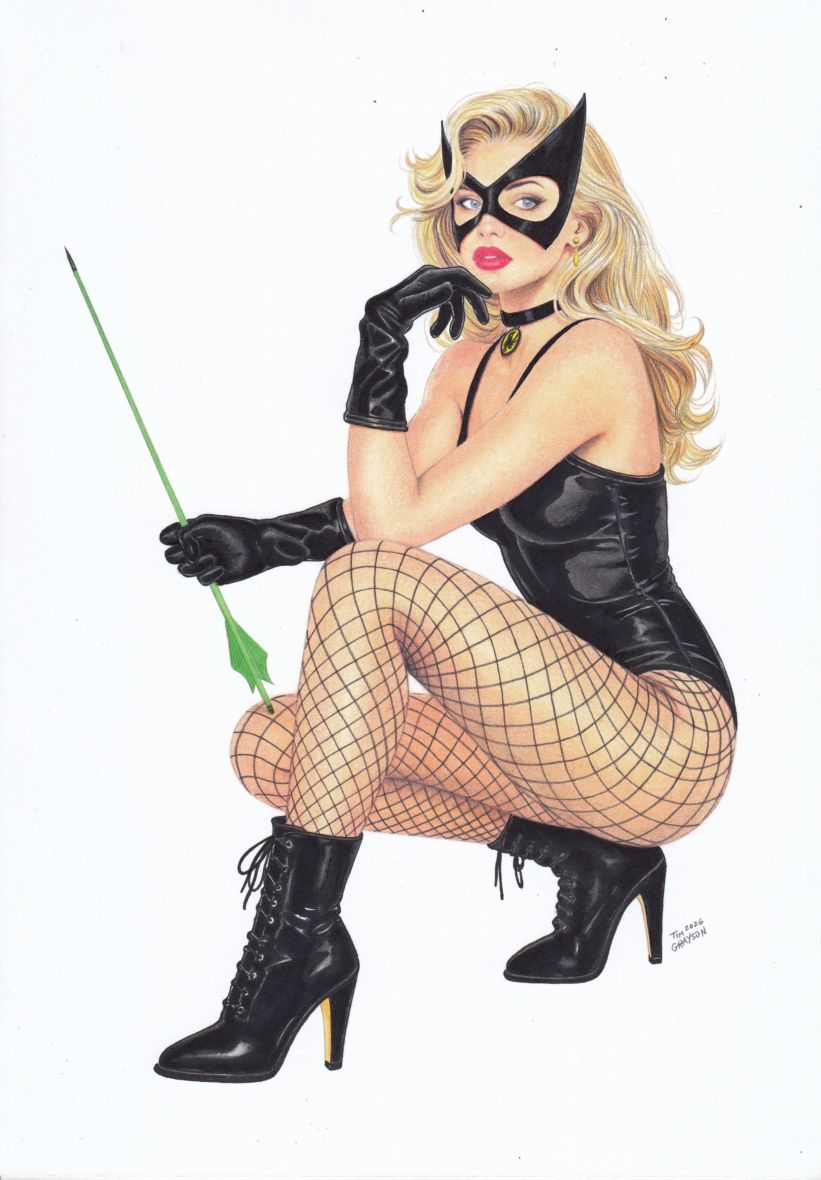 Image for Search for 'black canary'