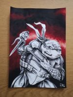 TMNT C