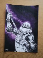 TMNT D