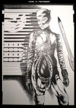 catwoman 02 wips 02