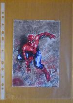 SPIDEY natural