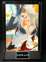 Xorjin - Zatanna Black Cat
