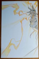 Secondary Image 2