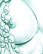 Secondary Image 4