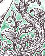 Secondary Image 6