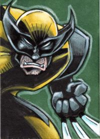 Image for Wolverine sketch card