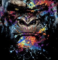 Avatar for artofsilverback