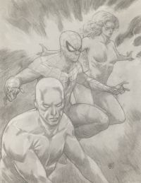 Image for Spider-Man! And his amazing friends!