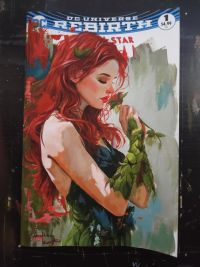 Image for Poison Ivy - Acrylic painting on Blank variant Comic