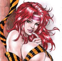 Avatar for DavidLima