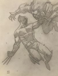 Image for Wolverine! Sabertooth! 