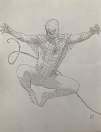 Image for Spider-Man pencil drawing!