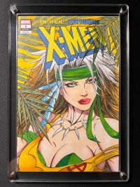 Image for Savage Land Rogue