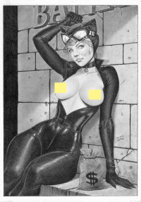 Image for Catwoman Gotham