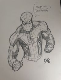 Image for Spider-Man by Frank Cho
