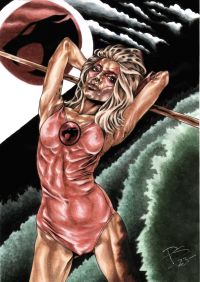 Image for Thundercats CHEETARA A4 Original Art