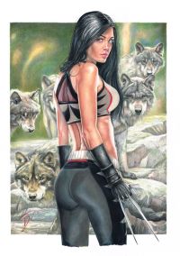 Image for WILD X-23