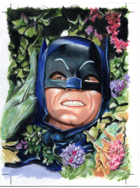 Image for season three BATMAN in the  hot house