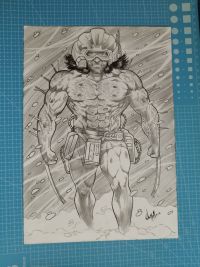 Image for Wolverine in Winter Pencil Illustration