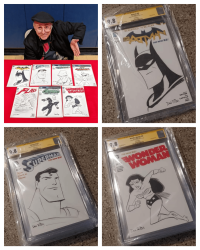 Image for Dan Riba Sketches on (7) Various DC Comics Blank Cover Variants CGC 9.8
