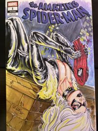 Image for Black Cat Sketch Cover on Amazing Spider-Man #1