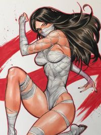Image for Silk by Celal Koc