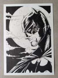 Image for Batman in the Moonlight