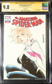 Image for Amazing Spider-Man #1 Signed Sketch Cover
