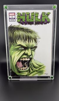 Image for The Incredible Hulk Sketch Cover by Adam Fields