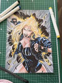 Image for Black Canary Pin Up