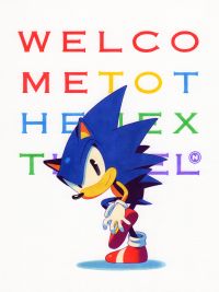 Image for Sonic The Hedgehog - Next Level