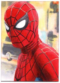 Image for Spider-Man Portrait Sketch Crad