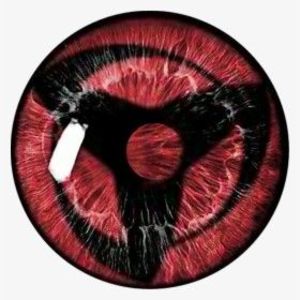 Image for Dinomendes