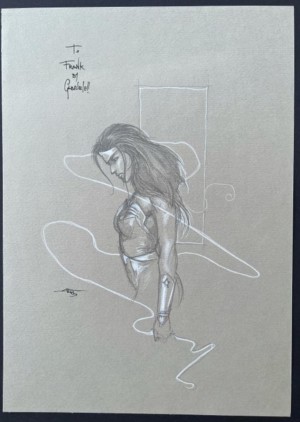 Gabriele Dell’otto 10”x14” Wonder Woman Pencil Sketch | Raremarq