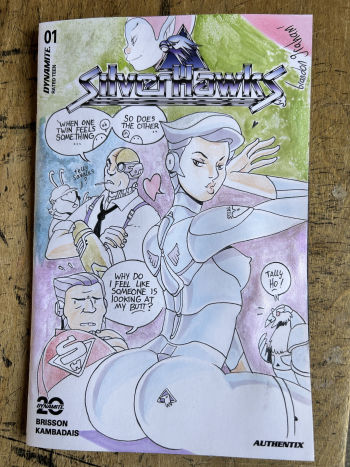 Image of Silverhawks